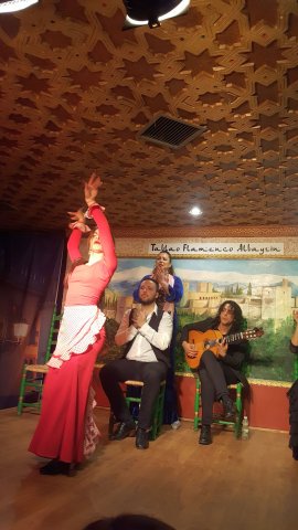 562 granada flamenco show